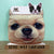 Face Masks - Dog & Cat - Store Pickup