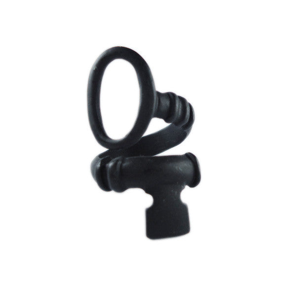 Twisted Key Ring